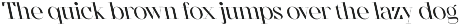 CS Salsa – Elegant Serif Font preview