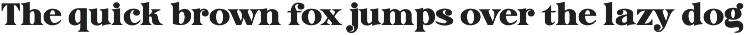 Avedoria Retro Feel Serif Font font preview