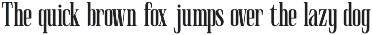 Muzzaro Elegant Condensed Serif Font preview