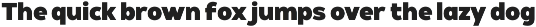 Pavona Alta - Pure Renewable Sans preview