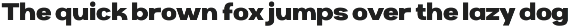 Cartio Sans Serif Font for Pharmacy preview