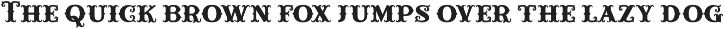 Carnival Lights - Decorative Serif preview