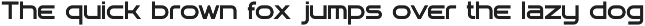 Tander font family preview