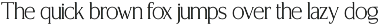 CS Arable – Elegant Serif Font preview