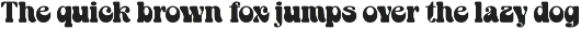 Retro Bold Serif Font - Bropie preview