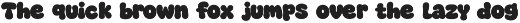 Moggy - Groovy Display Font preview