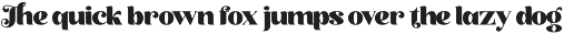 Stylish Retro Serif Font - Rukola preview