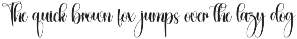 Shawty | Script Font preview