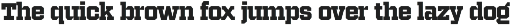 Native Baseball - Font Duo preview