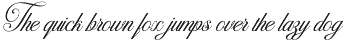 Tailyona preview
