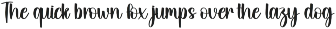 Santa Witches | Script Font preview