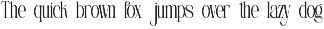 Nirain - Modern & Classy Serif preview