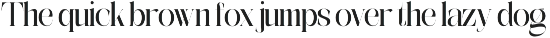 The Simple Editorial | 15 Style Font preview