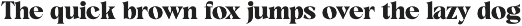 Gattino Spazio - Bold Serif Typeface preview