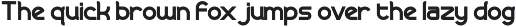 Vexorium Modern Experimental Font preview