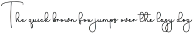Signature preview
