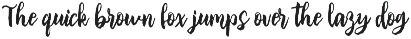 Wild Scribbble - Vintage Script Font font preview