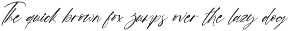 Skyppe Blastingo Handwritten Script preview