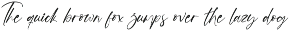 Skyppe Blastingo Handwritten Script preview