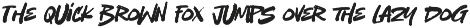 Wild Strokes - Wild Brush Font Rough preview