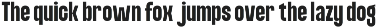 Condensed Duo Sans & Serif - Jugho preview