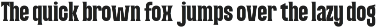 Condensed Duo Sans & Serif - Jugho preview