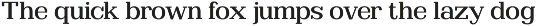 Clastin Variable preview