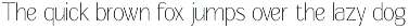 Signora | Sans Serif Family preview