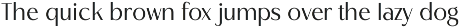 Bacher - Ligature Elegant Sans Font preview