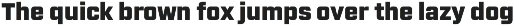 Magnie – Indie Rock Display Font preview