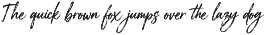 Nassbreng - Handbrush Script Font preview