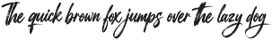 Natiques - Handlettering Brush Font preview