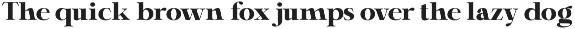 Shiffont Serif preview
