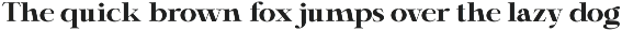 Shiffont Serif preview