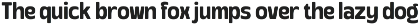 Yangko – Playful Display Font Family preview