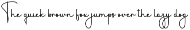 Timeline preview