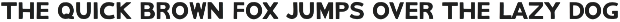 DW Wickham Vintage Font Duo preview