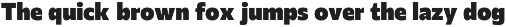 Nekt Font Family preview