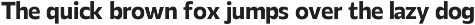 Nekt Font Family preview
