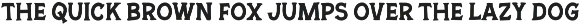 Authentic Society - Font Duo preview