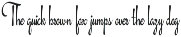 Bravelyn Script Family font preview