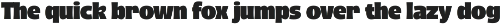 Regain - Bold Display Font preview