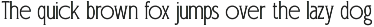 Logo Serif Branding Font - Veloster preview