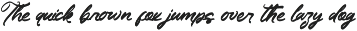 Palmone Bold Calligraphy preview