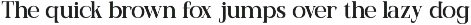 Delbare Modern Elegant Serif Font preview