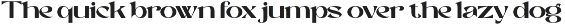 Baner - Sans Luxury Typeface preview