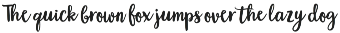 Blossom Script | Elegant Font preview