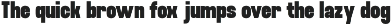Fujecka - Condensed Sans Family Font preview