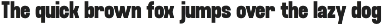 Fujecka - Condensed Sans Family Font preview