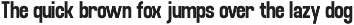 Fujecka - Condensed Sans Family Font preview